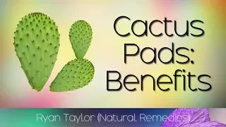 Cactus Leaf Benefits Uses Nopales