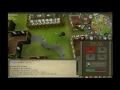Ardy Knights Setup