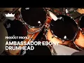 Ambassador Ebony Drumhead Remo