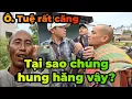 Download Lagu Hồi kết ông Minh Tuệ rất căng? Tại sao chúng hung hăng vậy?
