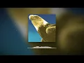 Protomartyr - Exalted Eagles