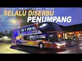 Download Lagu BUS TINGKAT JOGJA - JAKARTA YANG GAK PERNAH SEPI PENUMPANG |  Rosalia Indah DD 122 Volvo B 11 R 430