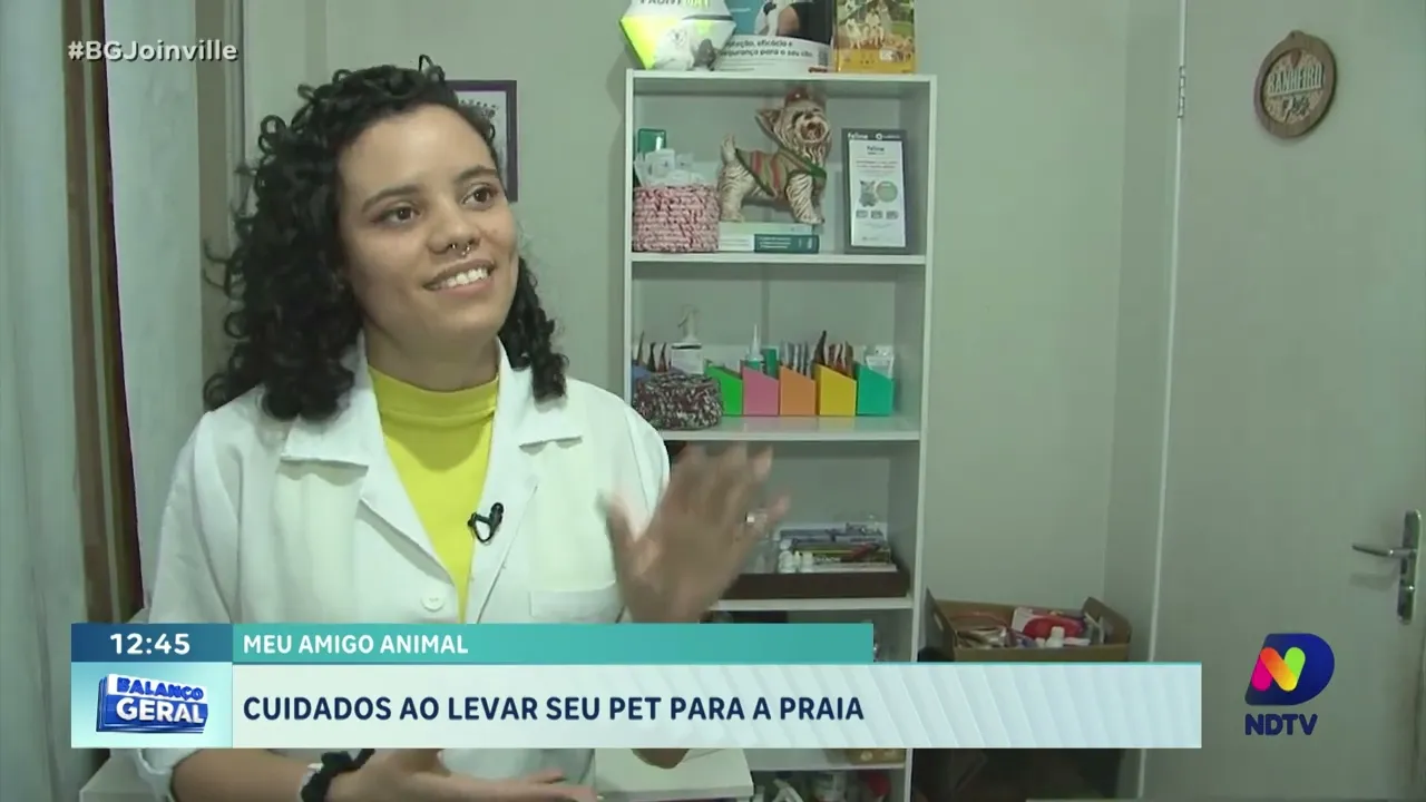 Verão seguro: dicas essenciais para levar seu pet à praia"