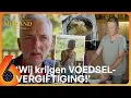 Download Lagu Erica's KOOKKUNSTEN veroorzaken KNALLENDE RUZIE! 😤 | Chateau Meiland