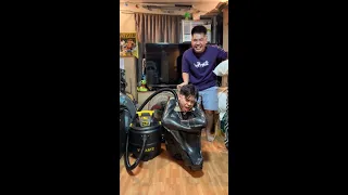 vacuum cleaner prank