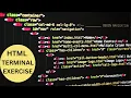 HTML Terminal Exercise Solution Computer Science Class 12 NIOS 330 Public Exam 2024