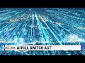 State of Texas Congressman proposes kill switch to target rogue AI incidents