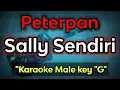 Download Lagu sally sendiri - peterpan (karaoke male)