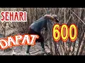 Download Lagu Tebang tebu tercepat di PT GPM