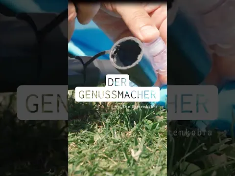 Der Genussmacher: Die Gartenkobra #youtubeshorts #kisag #garten #genussmoment #kisag