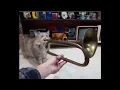 Cat playing Fukashigi no Carte on Trumpet But its only the best part
