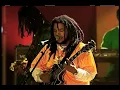 Ziggy Marley & The Melody Makers - "Postman"
