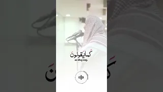   قل لو كان معه آلهة كما يقولون    القارئ يوسف العيدروس دندنها