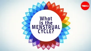 How Menstruation Works Emma Bryce 