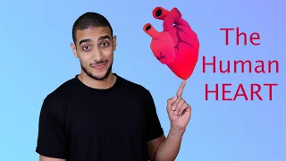 شرح بالعربي دندنها