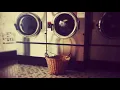 PEACEFUL LAUNDROMAT 10H of Washing Machine Sounds Open