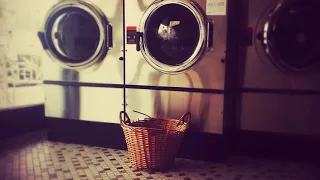 PEACEFUL LAUNDROMAT 10H of Washing Machine Sounds Open