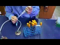 Microbiological Techniques Most Probable Number MPN