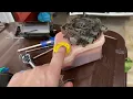 How to separate and remove your trim hydraulic pump from the pump base Volvo penta mercruiser