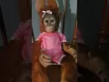 Something s Inside The Doll Credit cassieomalley3244