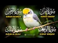 Download Lagu The Best Recitation Surah Yaseen (Yasin) | Surah Rahman | Surah Waqiah | Surah Mulk