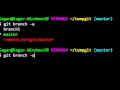 The current branch master has no upstream branch in git