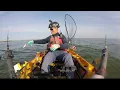 Cobia off Grandview Nature Preserve VA 2024