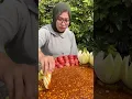 Download Lagu Ngiler banget liat kakaknya nyocol bumbu rujaknya 🤤🤤 #rujak #rujakbuahsegar #rujakan #bumburujakenak