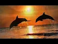 Maurice Jarre ~ Unchained Melody