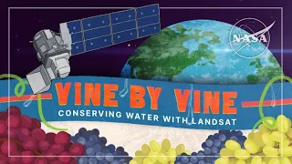 Vine by Vine - Conserving Water With Landsat