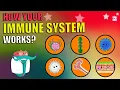 How Does Your Immune System Works What Is Immune System The Dr Binocs Show Peekaboo Kidz