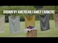 Southern Living Home Grown Cotton