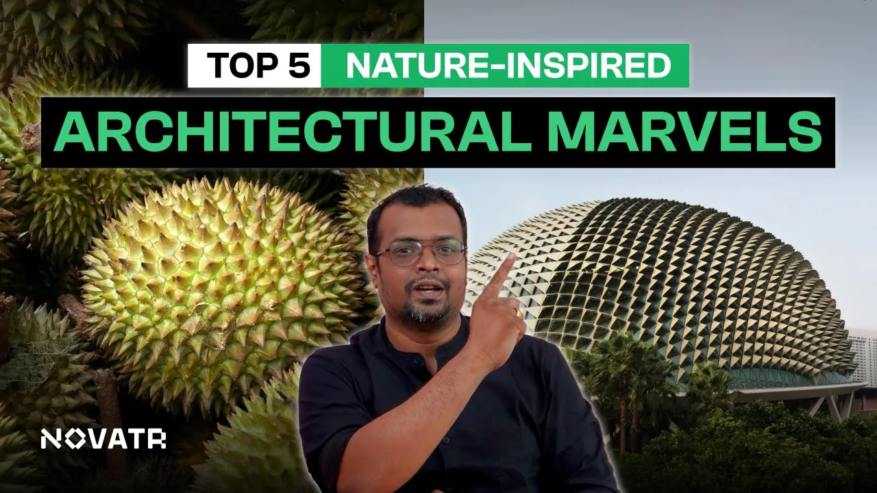 Top 5 Examples of Biomimicry in Architecture | Novatr