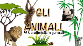 Download Il regno animale - caratteristiche generali animali - alimentazione, riproduzione, classificazione MP3