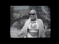 187 Strassenbande - 187 Allstars 2023 (prod. pompei)