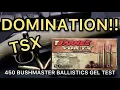 EPIC AMMO 450 Bushmaster Barnes VOR-TX 250gr TSX Ammo Test