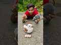 RC Mouse and Egg wala Chicken Unboxing