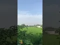 PEMANDANGAN SAWAH DENGAN BACKSOUND MANTAP