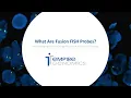 Fusion FISH Probes