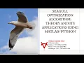 SEAGULL OPTIMIZATION ALGORITHM THEORY AND ITS APPLICATIONS USING MATLAB-PYTHON