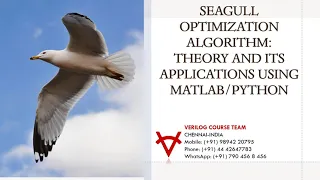 SEAGULL OPTIMIZATION ALGORITHM THEORY AND ITS APPLICATIONS USING MATLAB-PYTHON