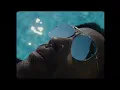 Lenny Kravitz - Honey (Official Music Video)