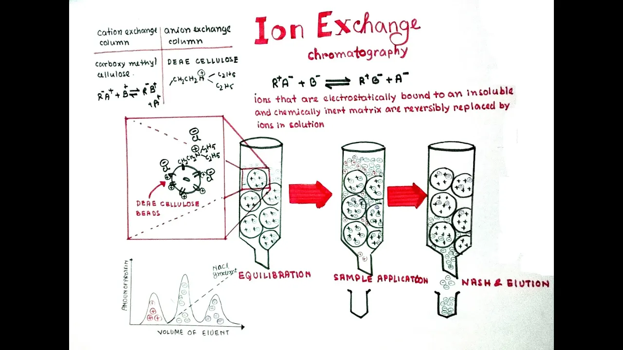 Ion exchange chromatography