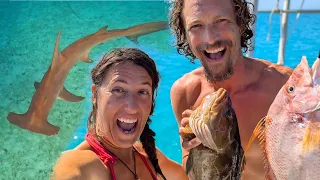 Hammerheads and Tiger Sharks [E357]