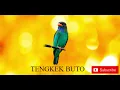 Download Lagu MASTERAN TENGKEK BUTO NEMBAK PANJANG || JEDA 2 MENIT !!!
