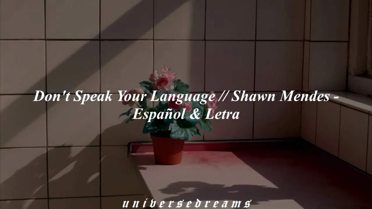 Don't speak your language // Shawn Mendes - Español & Letra 🌒