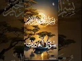 Download Lagu Surat Al-Adiyat ( The Courser)|| 100 Surah Al Adiyat by Mishary Rashid Al Afasy part 01