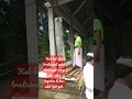 Download Lagu Suara Kul-kul ( Kentongan)Pertanda akan adanya kegiatan Banjar atau di Desa Adat Yeh-Poh #shorts
