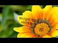주만 바라볼찌라 by 다윗과 요나단