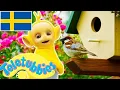 Download Lagu ☆ Teletubbies Svenska ☆ Säsong 3, Episod 60 ☆ Visar för barn ☆